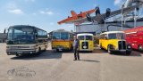 Europatreffen historischer Omnibusse Sinsheim 2023
