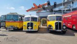 Europatreffen historischer Omnibusse Sinsheim 2023