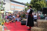 2. Oldtimer-Traktoren- und Einachser-Treffen in Adligenswil