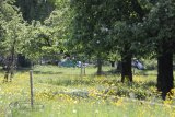 Micro-Car-Treffen 2026