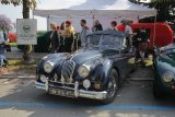 Swiss Classic British Car Meeting Morges