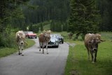 Arlberg Classic Car Rallye