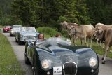 Arlberg Classic Car Rallye
