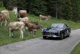 Arlberg Classic Car Rallye