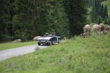Arlberg Classic Car Rallye