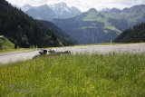 Arlberg Classic Car Rallye