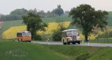 Europäisches Oldtimer-Bus Treffen Sinsheim
