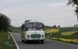 Europäisches Oldtimer-Bus Treffen Sinsheim