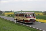 Europäisches Oldtimer-Bus Treffen Sinsheim