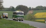 Europäisches Oldtimer-Bus Treffen Sinsheim