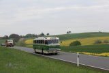 Europäisches Oldtimer-Bus Treffen Sinsheim