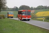 Europäisches Oldtimer-Bus Treffen Sinsheim