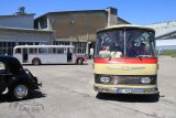 Bus- & LKW-Treffen Hinwil