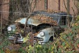 Autofriedhof Gürbetal, Grabesruhe