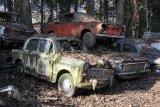 Autofriedhof Gürbetal