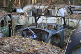 Autofriedhof Gürbetal