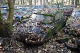 Autofriedhof Gürbetal
