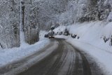 Rallye Monte-Carlo Historique