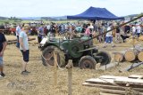 Int. Landmaschinen Oldtimer-Treffen Effingen