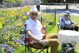 47. Oldtimer-Meeting Baden-Baden
