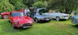 Festival of Classic Cars, Schloss Dennenlohe
