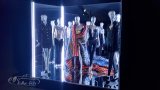 MAC Museum Versace-Ausstellung