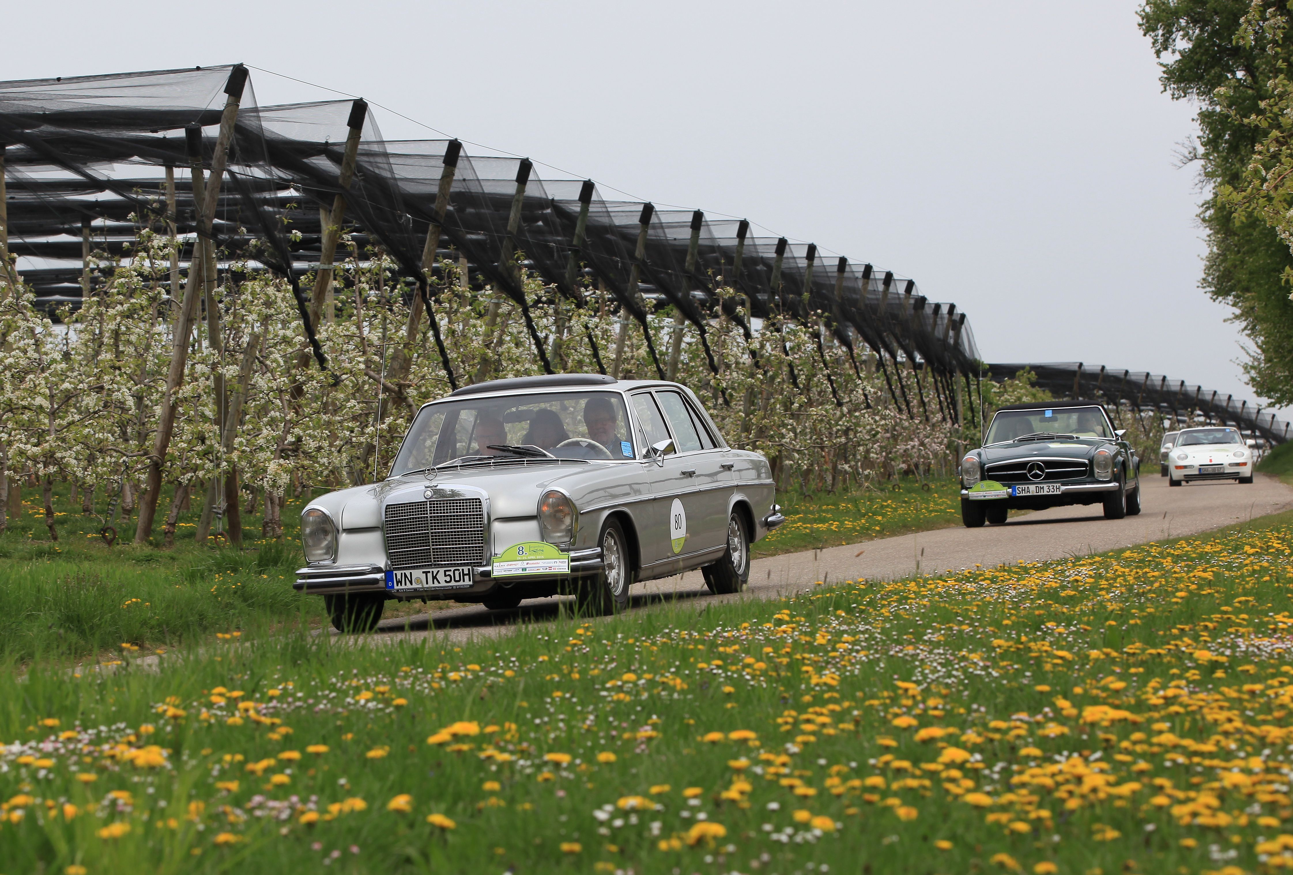 Langenburg Historic 2015